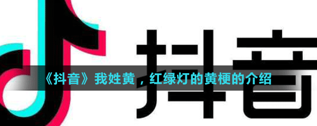 《抖音》我姓黃，紅綠燈的黃梗的介紹