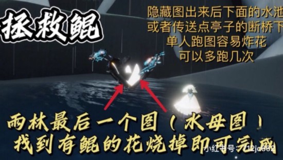 《光遇》2021年12月20日常任務完成攻略分享