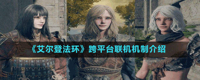 《艾爾登法環(huán)》跨平臺聯(lián)機(jī)機(jī)制介紹