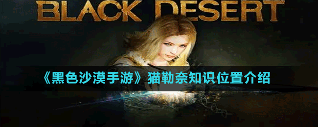 《黑色沙漠手游》貓勒奈知識(shí)位置介紹