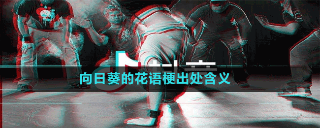 向日葵的花語梗出處含義