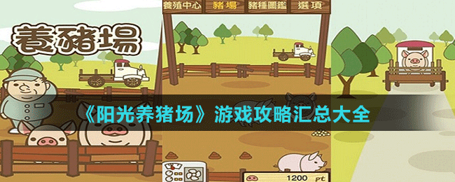 《陽(yáng)光養(yǎng)豬場(chǎng)》游戲攻略匯總大全