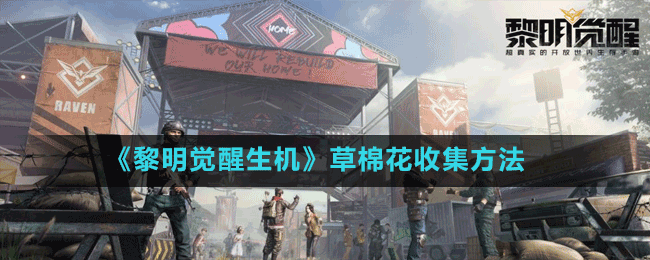 《黎明覺醒生機》草棉花收集方法