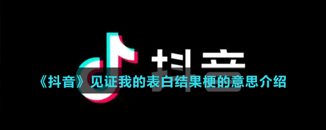 《抖音》見(jiàn)證我的表白結(jié)果梗的意思介紹