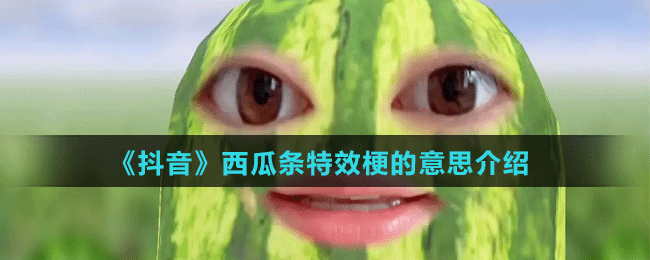 《抖音》西瓜條特效梗的意思介紹