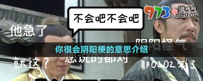 你很會(huì)陰陽(yáng)梗的意思介紹