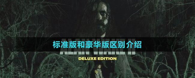 《心靈殺手2》開(kāi)發(fā)商介紹