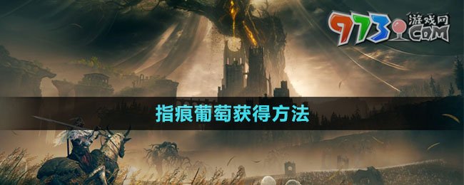 《艾爾登法環(huán)》DLC指痕葡萄獲得方法