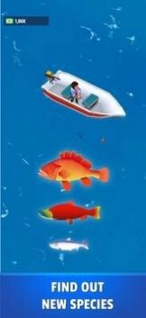 釣魚(yú)湖大亨截圖(1)