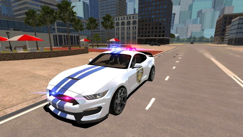 野馬警車駕駛截圖(2)
