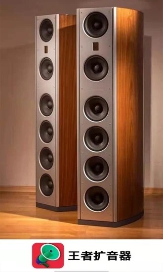 王者擴音器截圖(4)