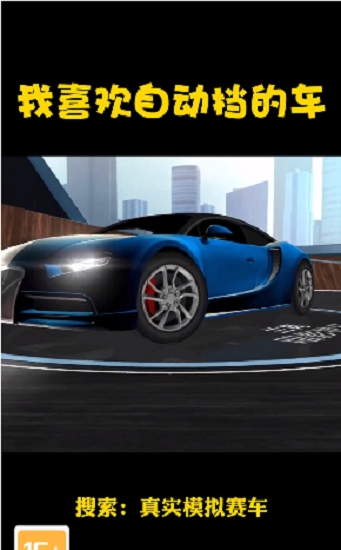 真實模擬賽車截圖(1)