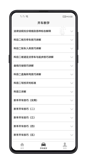 開車教學截圖(2)