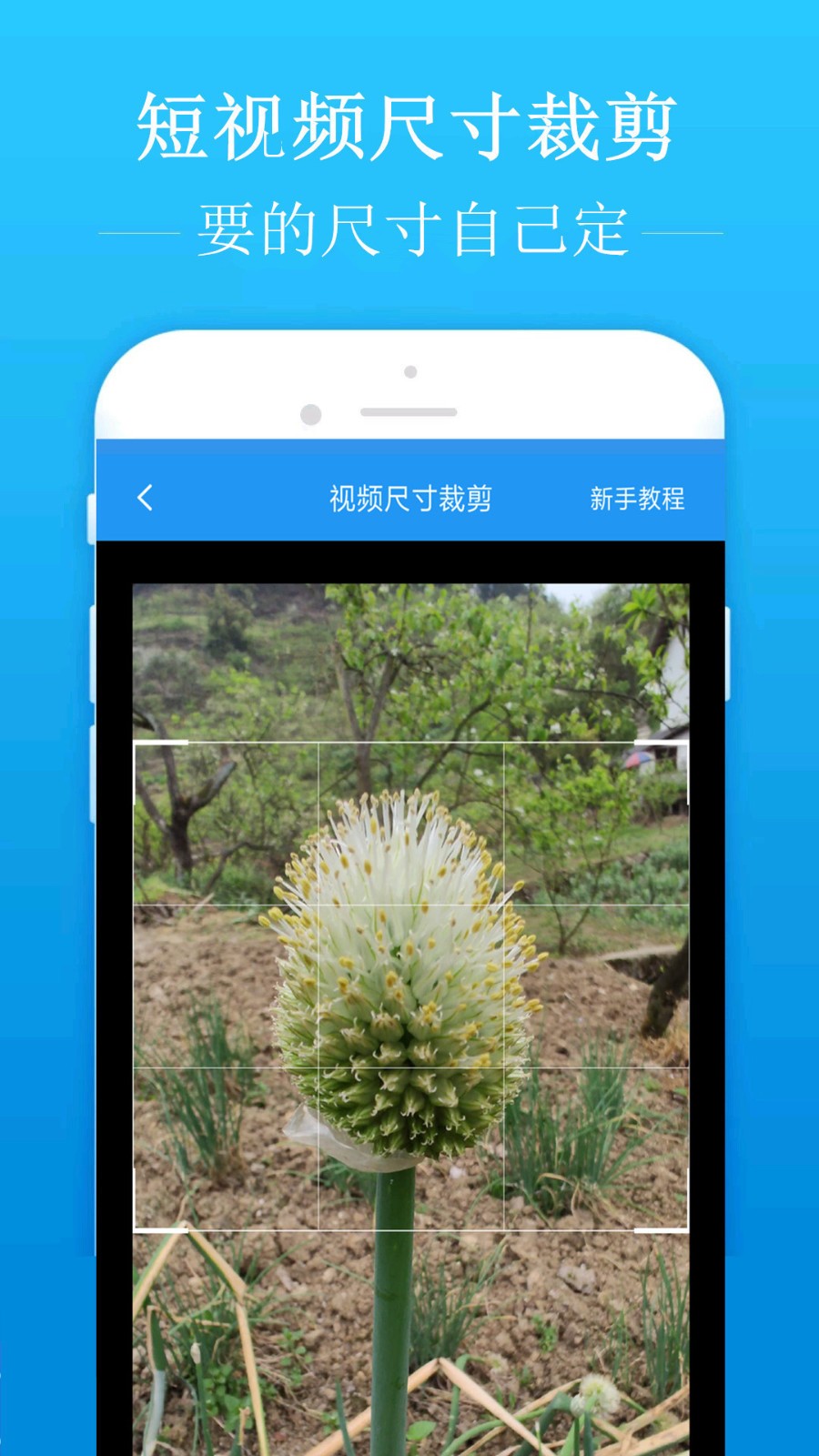 去水印吧1.7.3截圖(2)