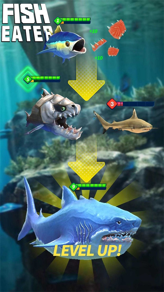 鯊魚(yú)進(jìn)化論截圖(2)