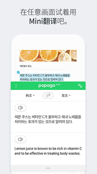 papago截圖(2)