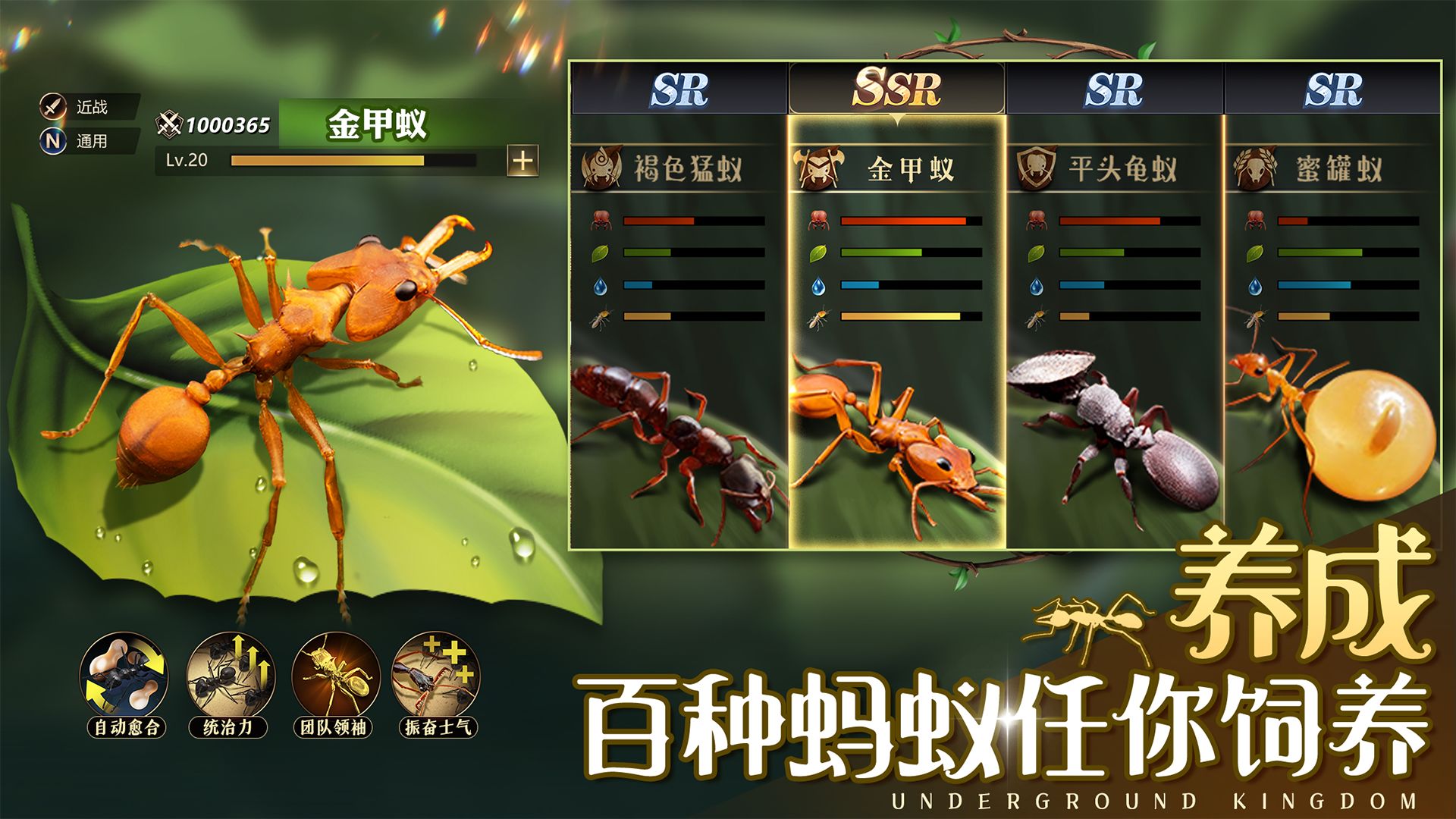 小小蟻國(guó)內(nèi)購版截圖(2)