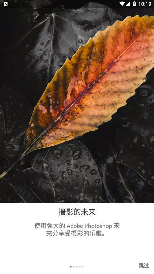 lightroom免費(fèi)安卓版截圖(5)