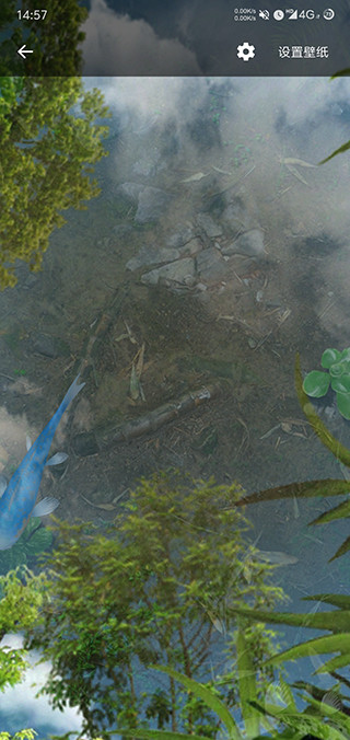 魚池動(dòng)態(tài)壁紙截圖(3)