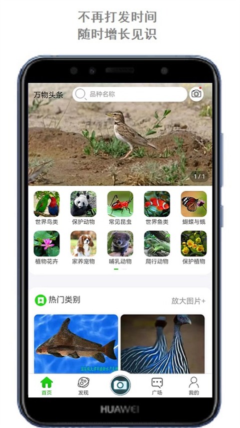 萬(wàn)物識(shí)別截圖(1)