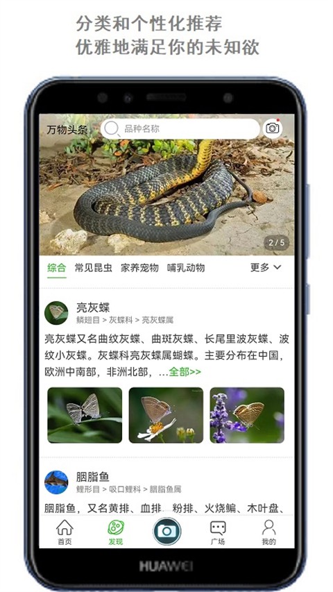 萬(wàn)物識(shí)別截圖(3)