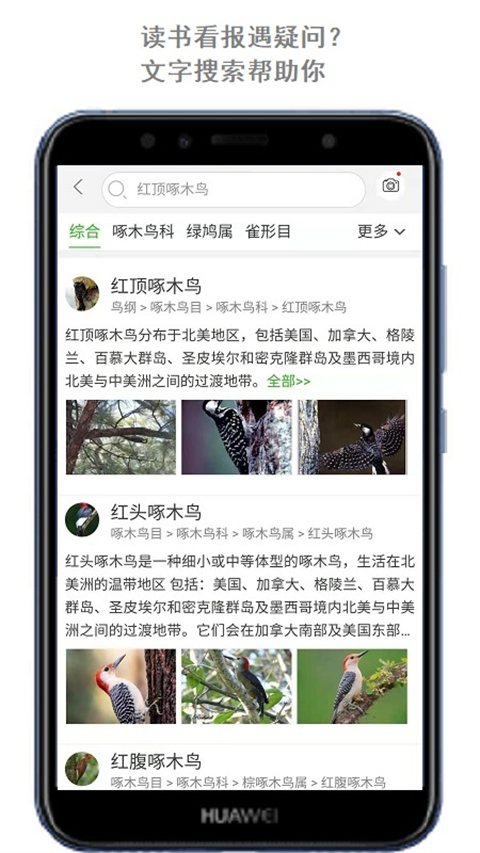 萬(wàn)物識(shí)別截圖(4)