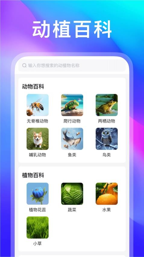 動物世界截圖(4)