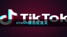 crush梗出處含義