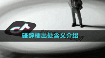 碰辭梗出處含義介紹