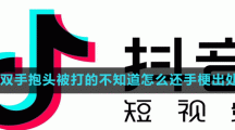 那年我雙手抱頭被打的不知道怎么還手梗出處含義