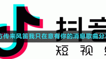 遠方傳來風笛我只在意有你的消息歌曲分享
