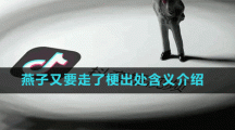 燕子又要走了梗出處含義介紹