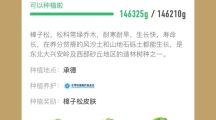 支付寶螞蟻森林種植樟子松難嗎？種植樟子松與梭梭樹能量對(duì)比