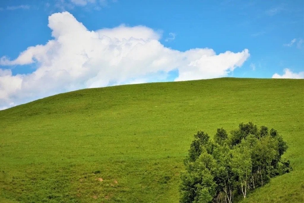 微信狀態(tài)農(nóng)場(chǎng)背景高清無水印圖片分享