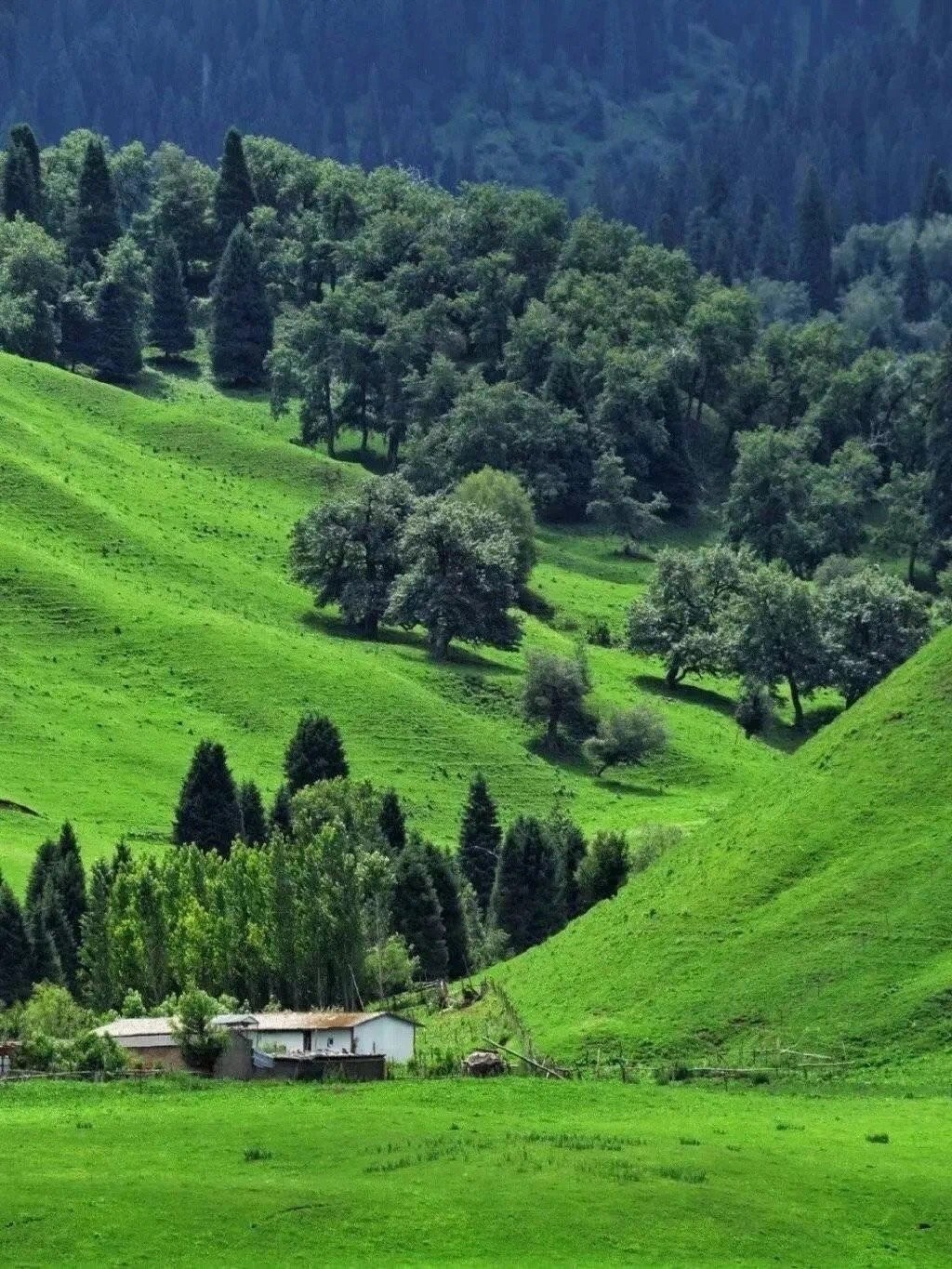 微信狀態(tài)農(nóng)場(chǎng)背景高清無水印圖片分享