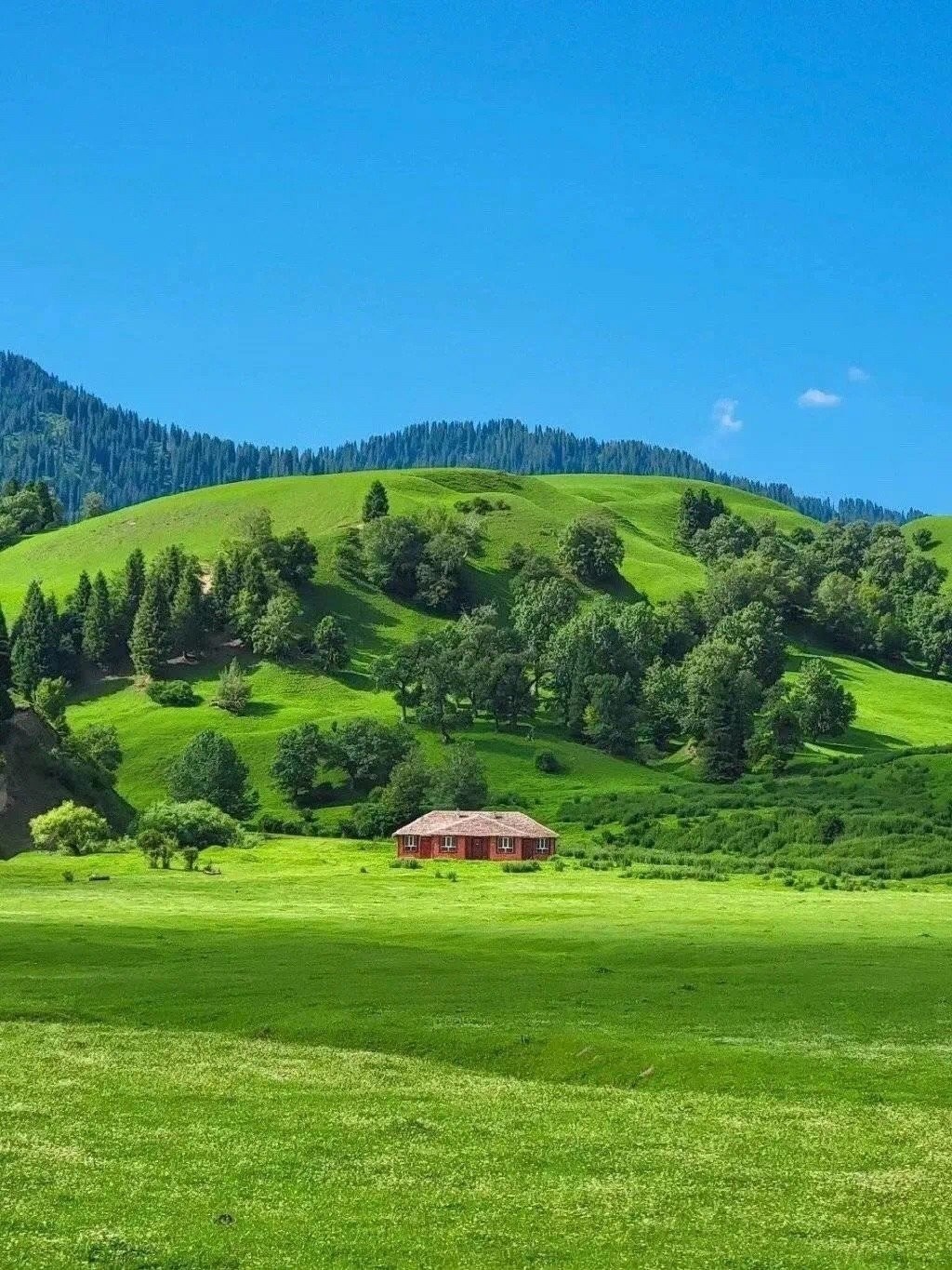 微信狀態(tài)農(nóng)場(chǎng)背景高清無水印圖片分享