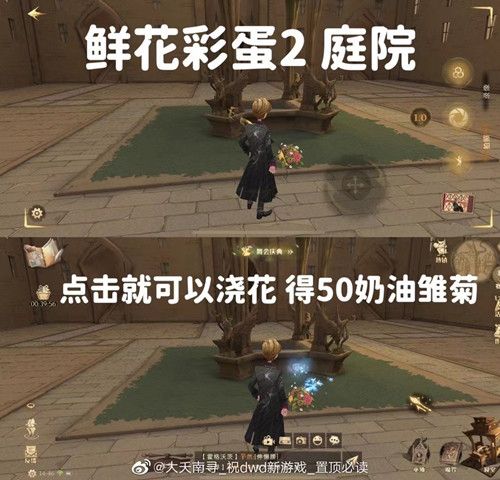 《哈利波特魔法覺醒》6個(gè)鮮花彩蛋位置觸發(fā)方法
