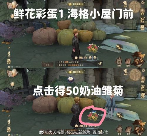 《哈利波特魔法覺醒》6個(gè)鮮花彩蛋位置觸發(fā)方法