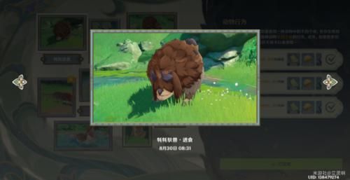 《原神》雕琢童心第三個(gè)動(dòng)物行為拍攝位置分享