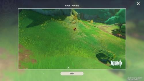 《原神》雕琢童心第三個(gè)動(dòng)物行為拍攝位置分享