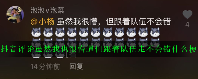 抖音雖然我也很懵逼但跟著隊(duì)伍走不會錯(cuò)什么梗 雖然我也很懵逼但跟著隊(duì)伍走不會錯(cuò)梗含義出處介紹
