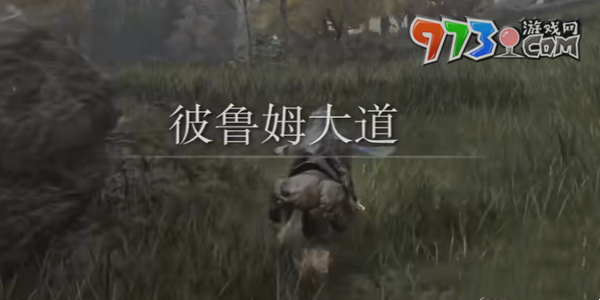 《艾爾登法環(huán)》DLC指痕葡萄獲得方法